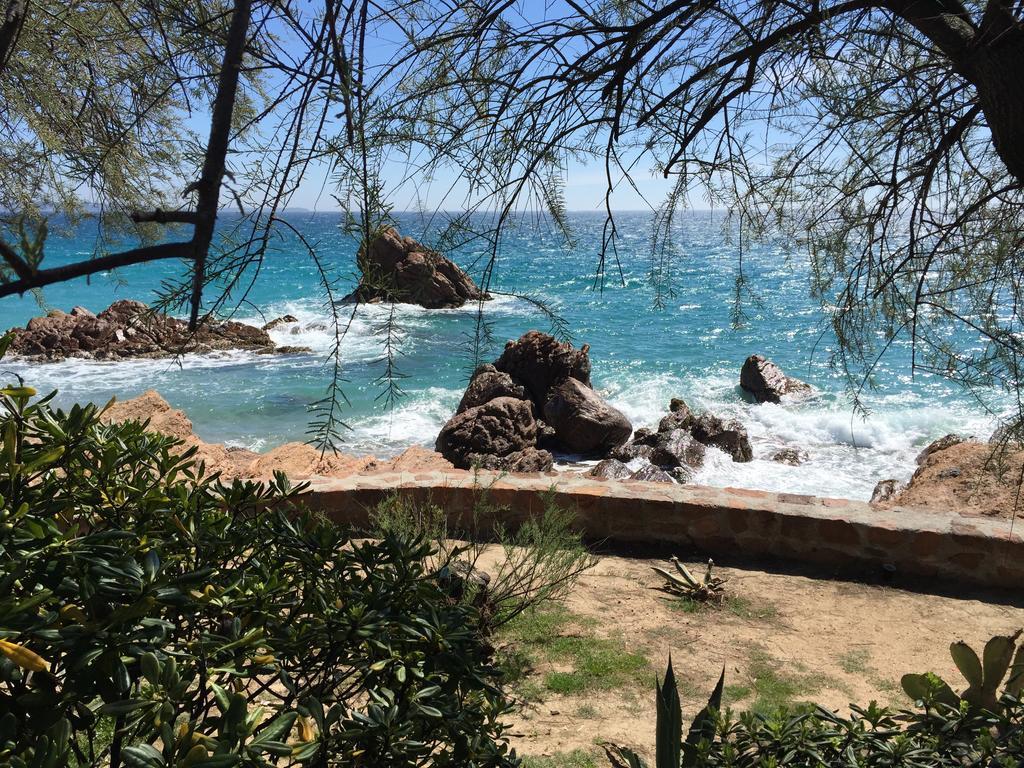 Dionysos Vue Mer คานส์ ห้อง รูปภาพ